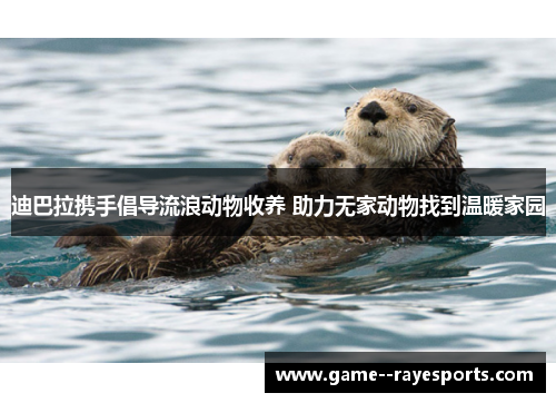 迪巴拉携手倡导流浪动物收养 助力无家动物找到温暖家园